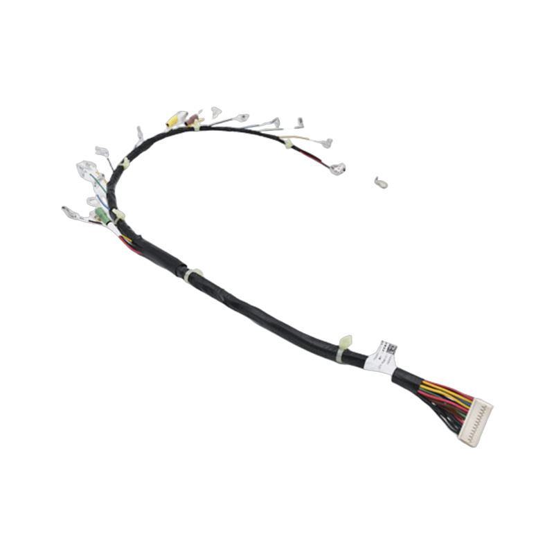 BMS acquisition harness 4