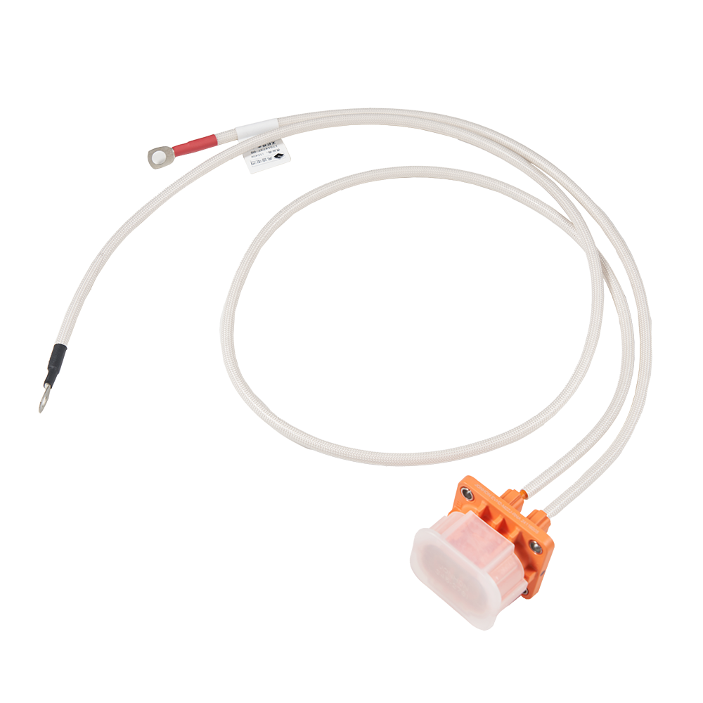 High & Low Voltage Wiring Harnesses for Battery Systems