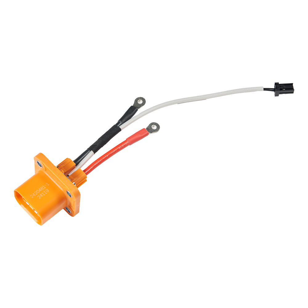 High & Low Voltage Wiring Harnesses for Electronic Control (ECU) Systems