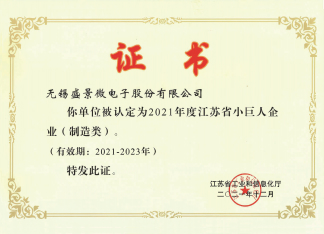 Little Giant Enterprise of Jiangsu Province